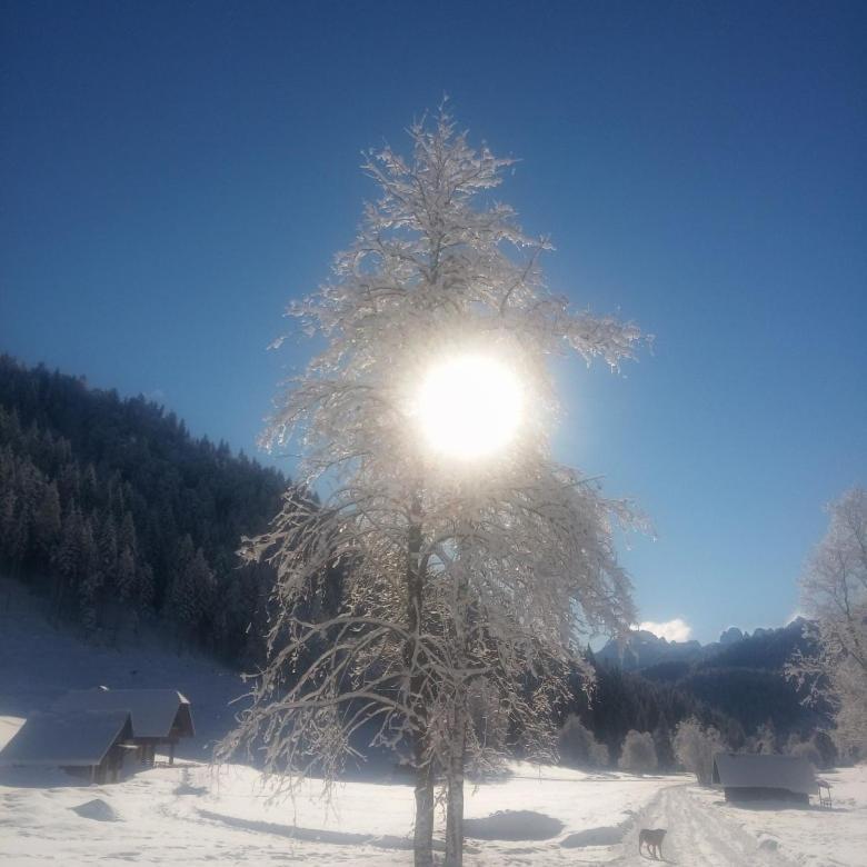 Huatscher Camporosso  Zewnętrze zdjęcie